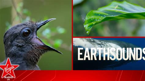 Earthsounds.S01E08.1080p.WEB.H264 .